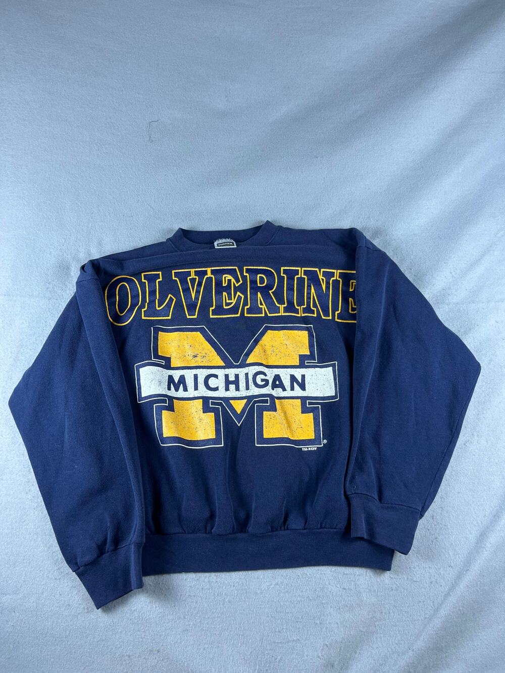 Vintage Michigan Wolverines Sweatshirt Adult XL Blue Spellout Logo College Sport